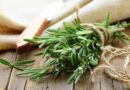 Rozmaring (Rosmarinus officinalis)