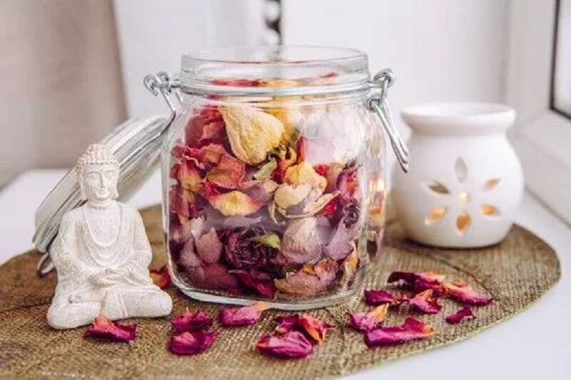 Potpourri