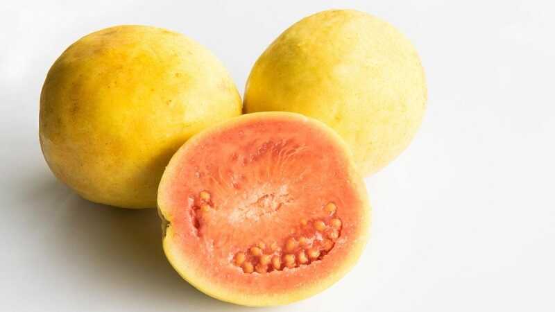 Brazil guava (psidium guineense) termése